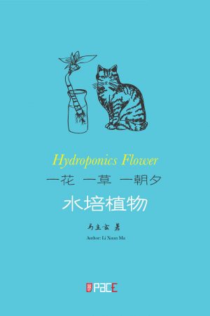 一花一草一朝夕——水培植物