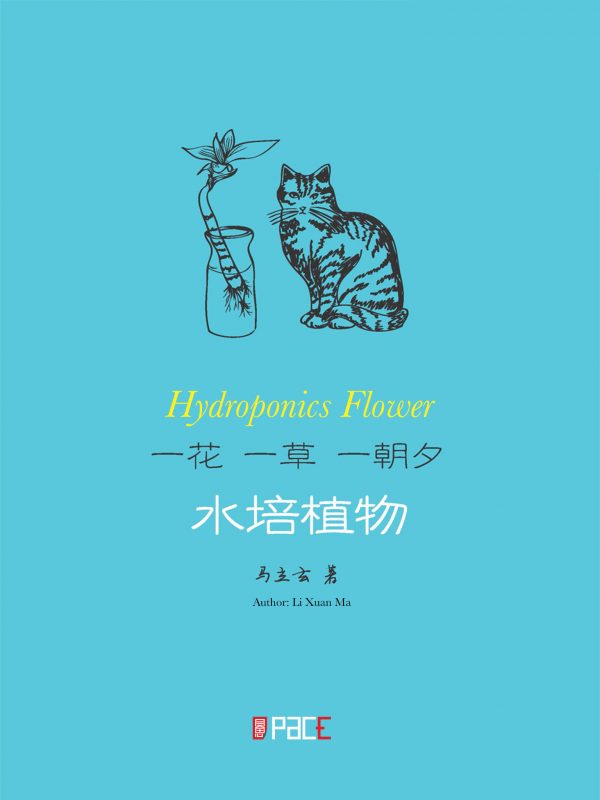 一花一草一朝夕——水培植物