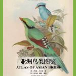 亚洲鸟类图鉴
