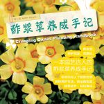 酢浆草养成手记