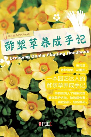 酢浆草养成手记
