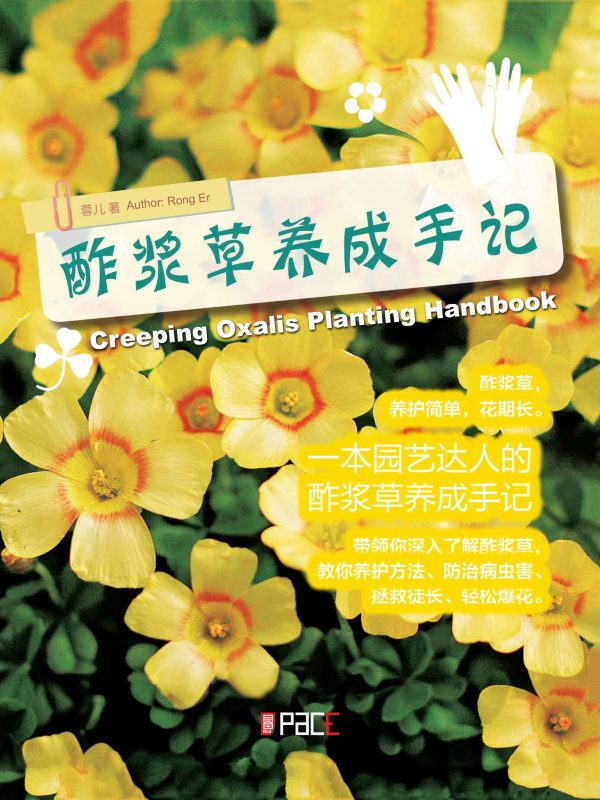 酢浆草养成手记