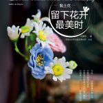 黏土花 留下花开最美时